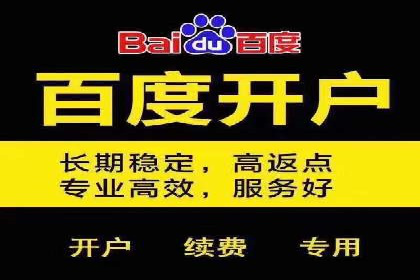 行业案例研究：SEM竞价托管的策略与挑战